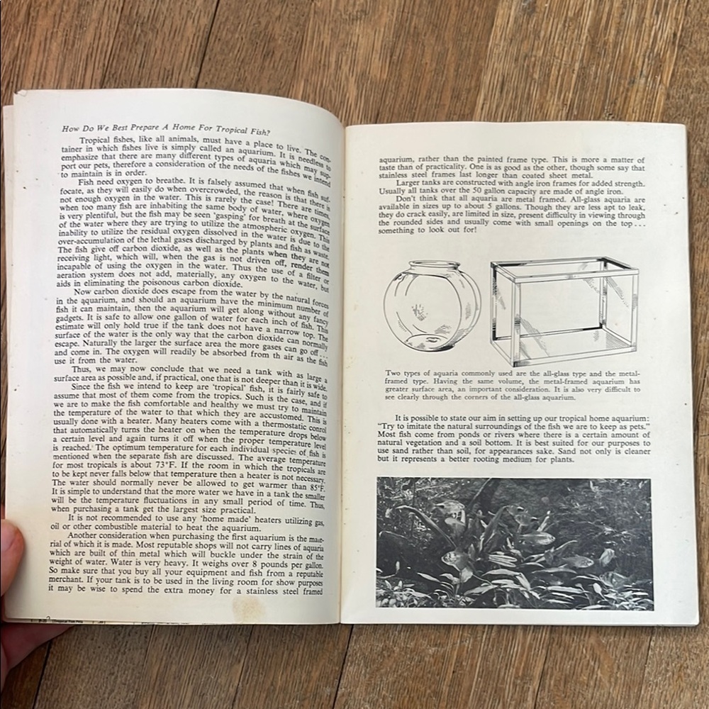 Tropical Fish Guide by Herbert R. Axelrod - Picture 5 of 11